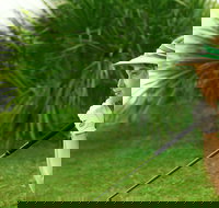 Whitsunday Green Club Golf - Holiday Adelaide