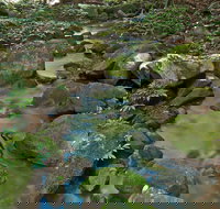 Whian Whian State Conservation Area - Holiday Adelaide