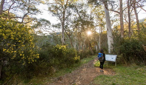 Yarrangobilly Caves – River Walk - Holiday Adelaide 0