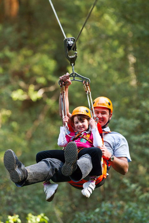 Zipline At Illawarra Fly - Holiday Adelaide 0