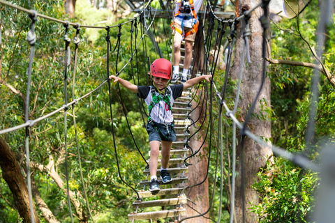 Zipline At Illawarra Fly - Holiday Adelaide 1