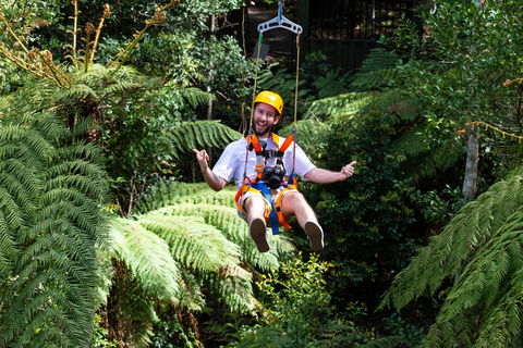 Zipline At Illawarra Fly - Holiday Adelaide 2