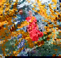 A Changing Australia The Time of Gough Whitlam - Holiday Adelaide