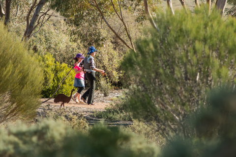 Australian Arid Lands Botanic Garden - Holiday Adelaide 0
