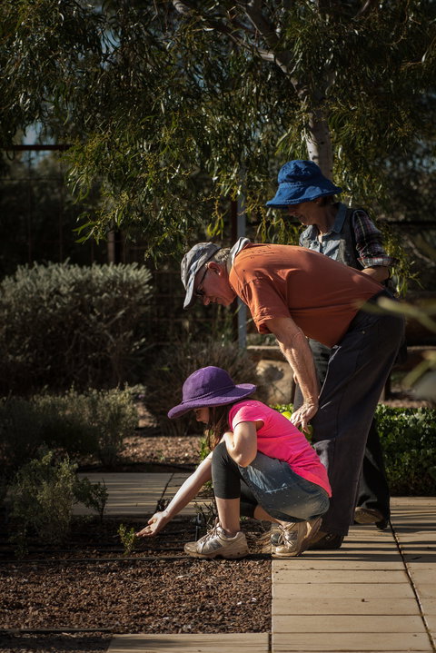 Australian Arid Lands Botanic Garden - Holiday Adelaide 1