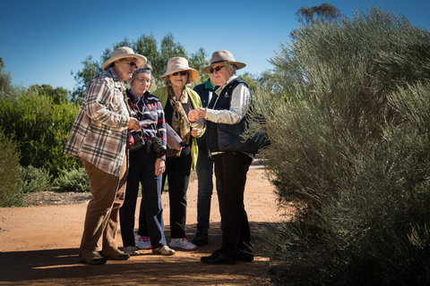 Australian Arid Lands Botanic Garden - Holiday Adelaide 2