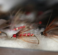 Australian Fly Fishing Museum - Holiday Adelaide