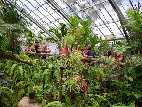 Australian Butterfly Sanctuary - Holiday Adelaide 2