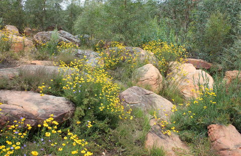 Ben Hall's Cave Walking Track - Holiday Adelaide 0