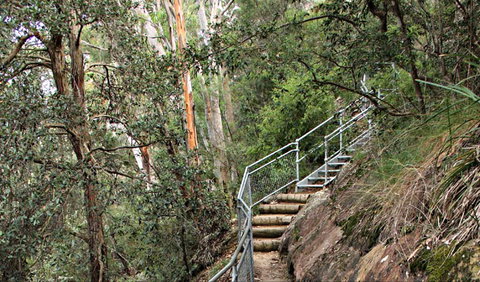 Caleys Lookout Track - Holiday Adelaide 0