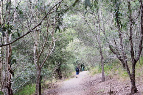 D'Aguilar National Park - Holiday Adelaide 2