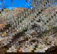 Eualdrie Walking Track - Holiday Adelaide