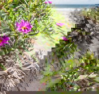 Fort Bribie - Holiday Adelaide