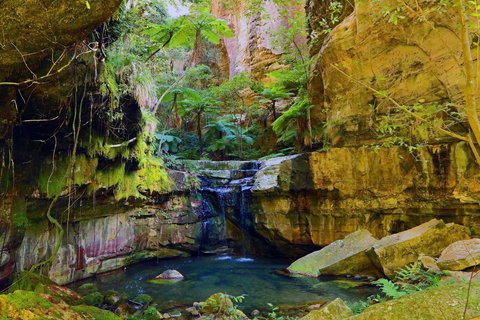 Glimpse Of The Outback 5 Day Tour - Roma And Surrounds - Holiday Adelaide 0