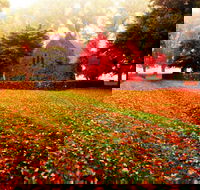 Gostwyck Chapel - Holiday Adelaide