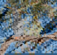 Greenough River Nature Trail