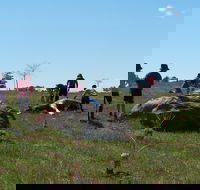 Jim Salmon  Wetland Education Site - Holiday Adelaide