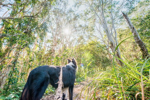 Lamb Island (Nguderoo) - Holiday Adelaide 1