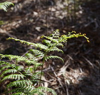 Langwarrin Flora and Fauna Reserve Walking Trails - Holiday Adelaide