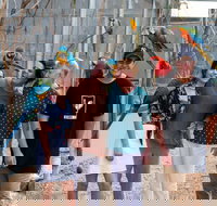 Maleny Botanic Gardens and Bird World - Holiday Adelaide