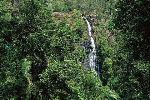 Mapleton Falls National Park - Holiday Adelaide 0