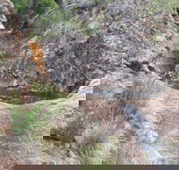 Mill-bullah Walking Track - Holiday Adelaide