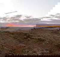 Mundi Mundi Plains - Holiday Adelaide