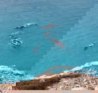 Nullarbor National Park - Holiday Adelaide