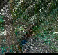 Pholis Gap Walking Track - Holiday Adelaide