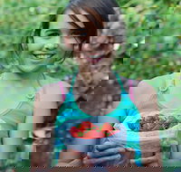 Ricardoes Tomatoes and Strawberries Farm Port Macquarie - Holiday Adelaide