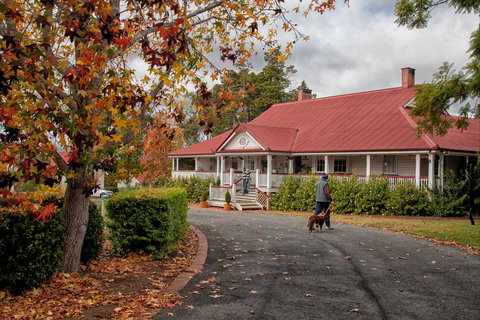 Ringsfield House, Nanango - Holiday Adelaide 1