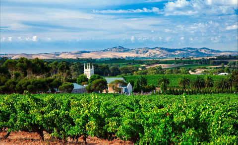 Seppeltsfield Road Barossa Valley - Holiday Adelaide 1