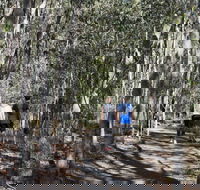 Six Mile Creek Bluff Lookout and Little White Rock Trails - Holiday Adelaide