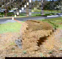 Stratford Historical Society and Museum - Holiday Adelaide