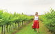 Swan Valley - thumb 0