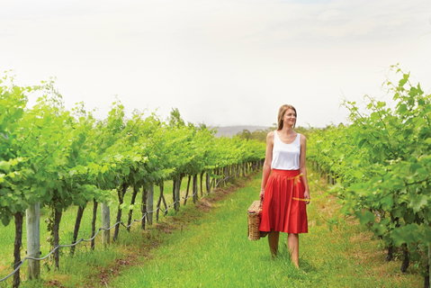 Swan Valley - Holiday Adelaide 0