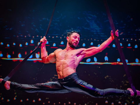 The Pink Flamingo Spiegelclub Gold Coast - Holiday Adelaide 2