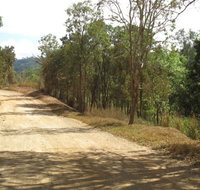 The Bloomfield Track