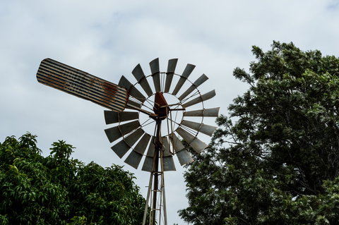 Tinaberries - Holiday Adelaide 0