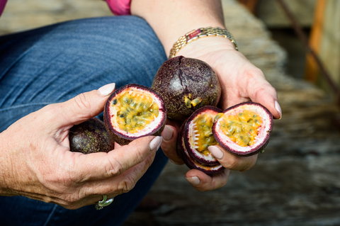 Tinaberries - Holiday Adelaide 2