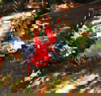 Trees Adventure - Glen Harrow Park - Holiday Adelaide