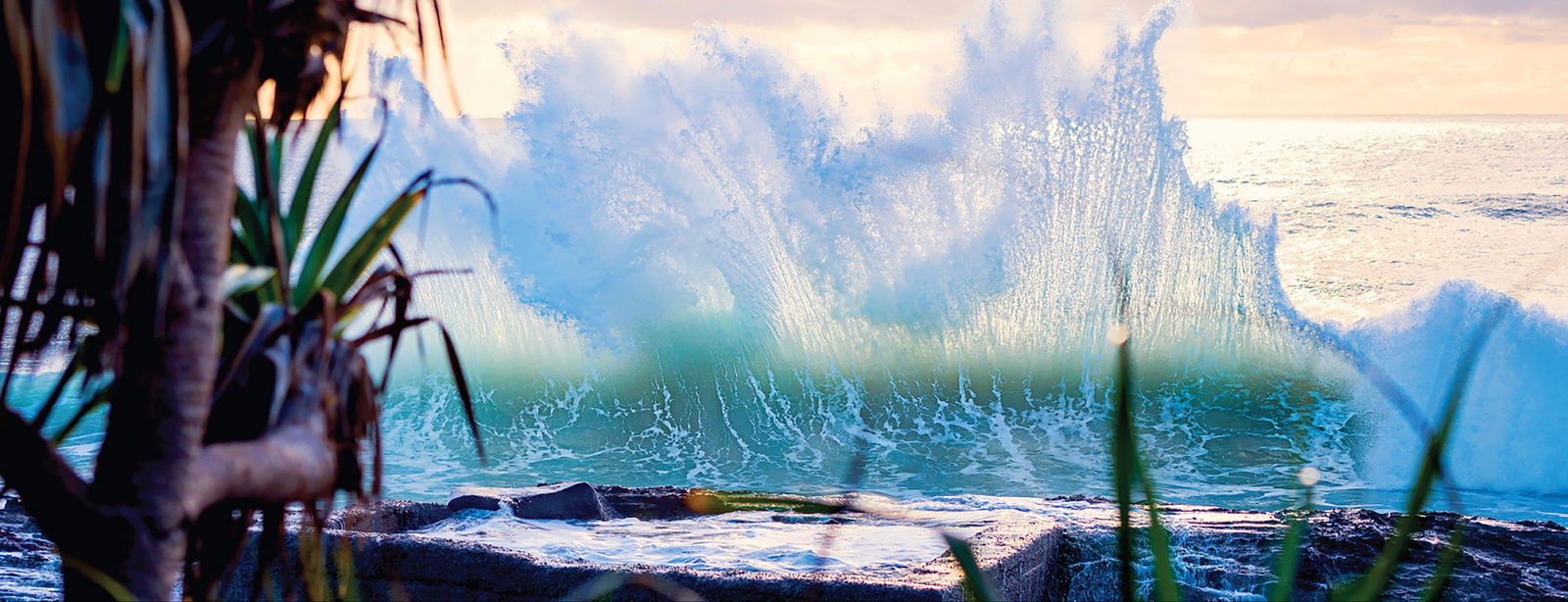 Tugun QLD Holiday Adelaide