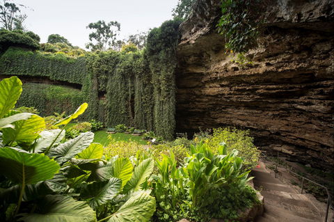Umpherston Sinkhole - Holiday Adelaide 1