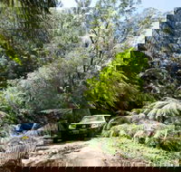 Wadbilliga Road drive - Holiday Adelaide