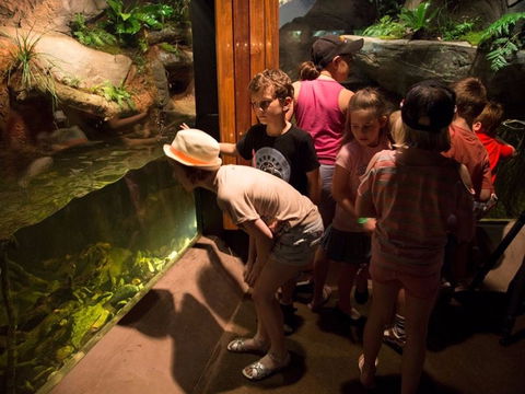 Walkabout Creek Discovery Centre - Holiday Adelaide 2