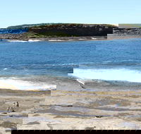 Wasp Head Picnic Area - Holiday Adelaide