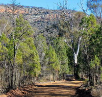 Weddin Gap to Black Spring Loop Trail - Holiday Adelaide