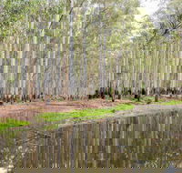 Wonga Wetlands - Holiday Adelaide