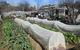 Wynlen House: Tour A Unique Urban Regenerative Farm And Market Garden - thumb 0