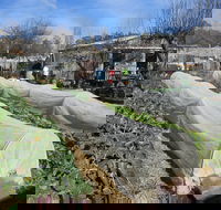 Wynlen House Tour a Unique Urban Regenerative Farm and Market Garden - Holiday Adelaide